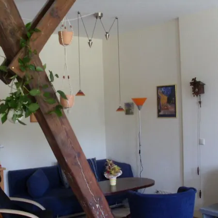 Charming In With Nice Garden *
